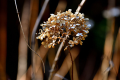 wait for spring