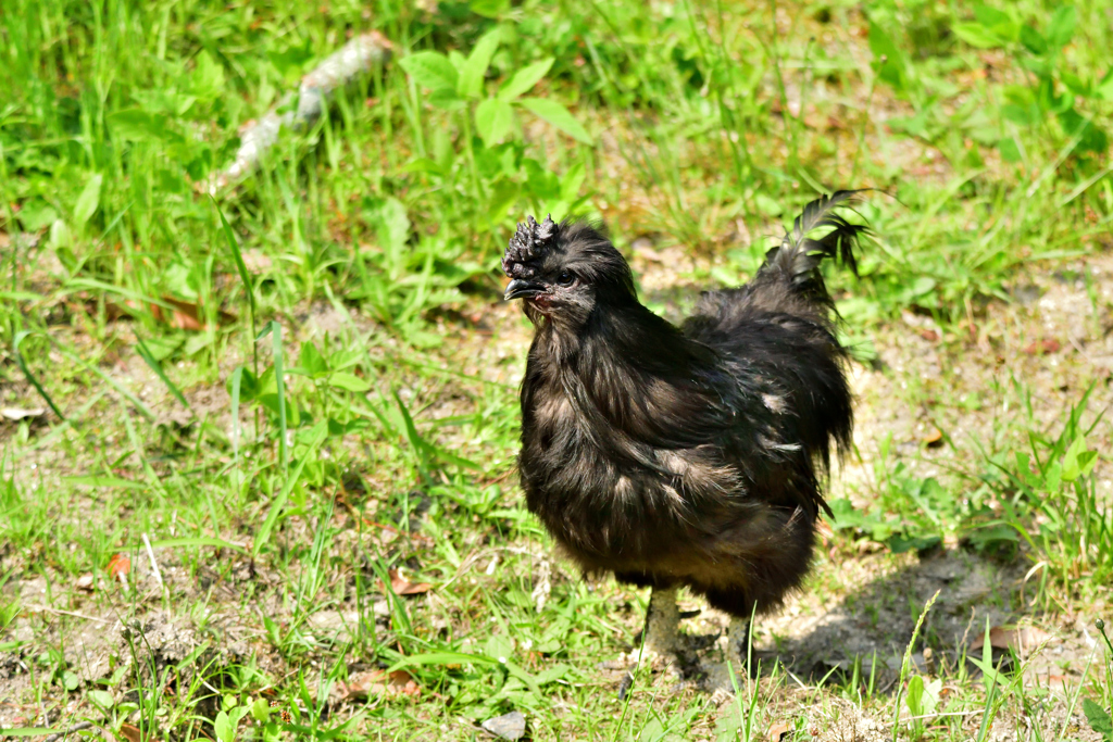 君は誰‥？　Ⅱ