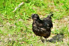 君は誰‥？　Ⅱ