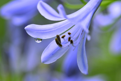 梅雨の晴れ間に-Ⅱ