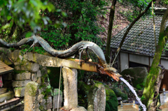 滝修行-Ⅱ