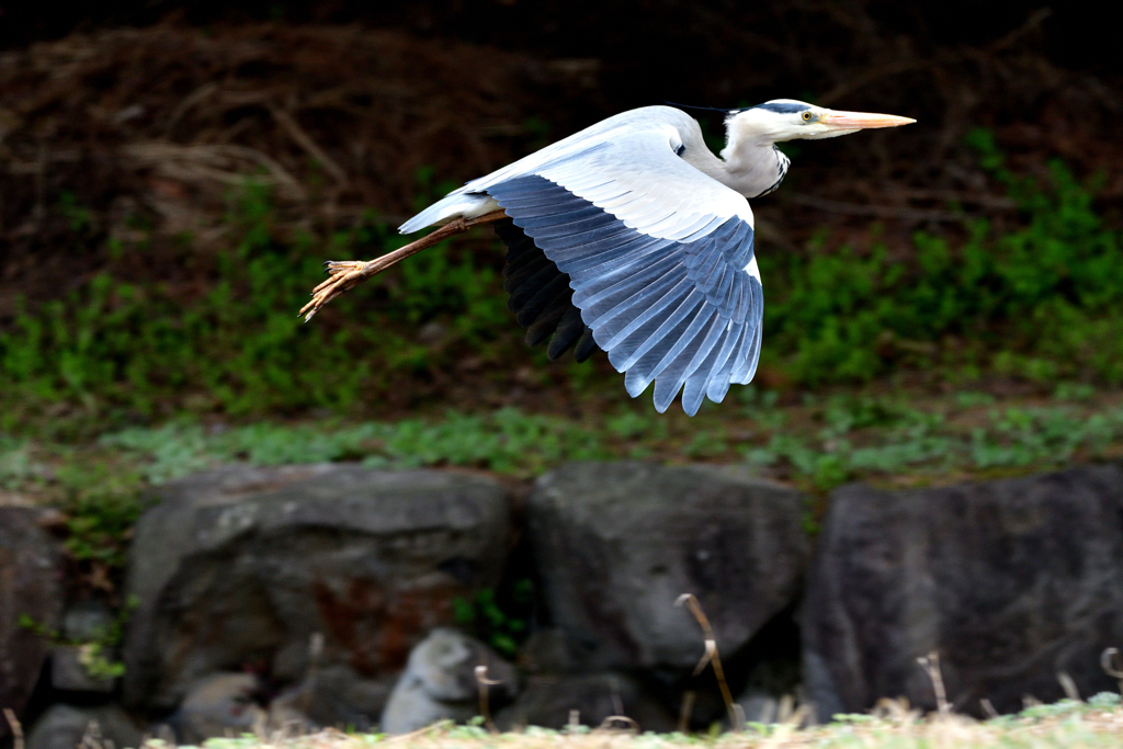 Low altitude flying