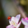 陽気に誘われて-Ⅱ　