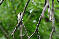 for the first time in a while 