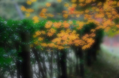 autumnscenery