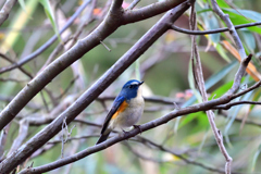 もっと明るい場所に出ておいでﾖ