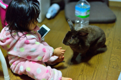 写真撮るから座って