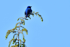 出会いを楽しみに-Ⅰ