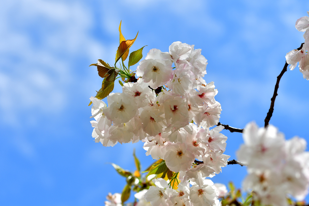 久しぶりの青空-Ⅰ