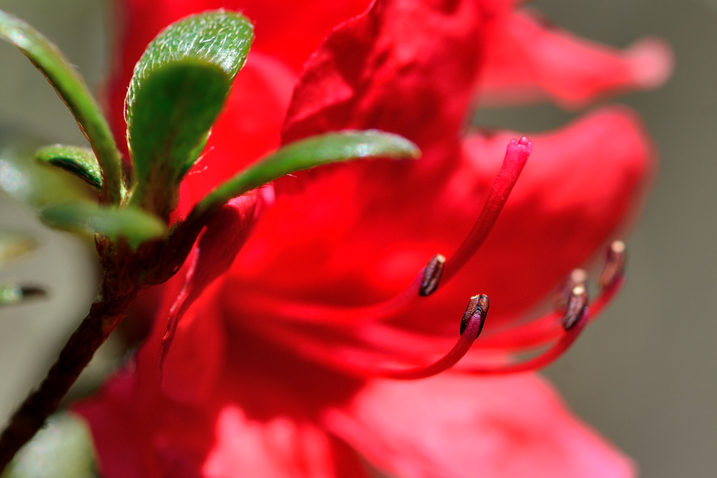 季節はずれ・・