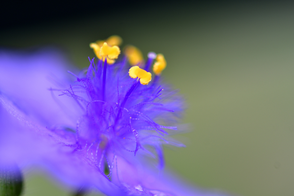 ひとときの幸せ