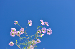 青空へ