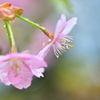 雨に濡れて美しく -Ⅰ