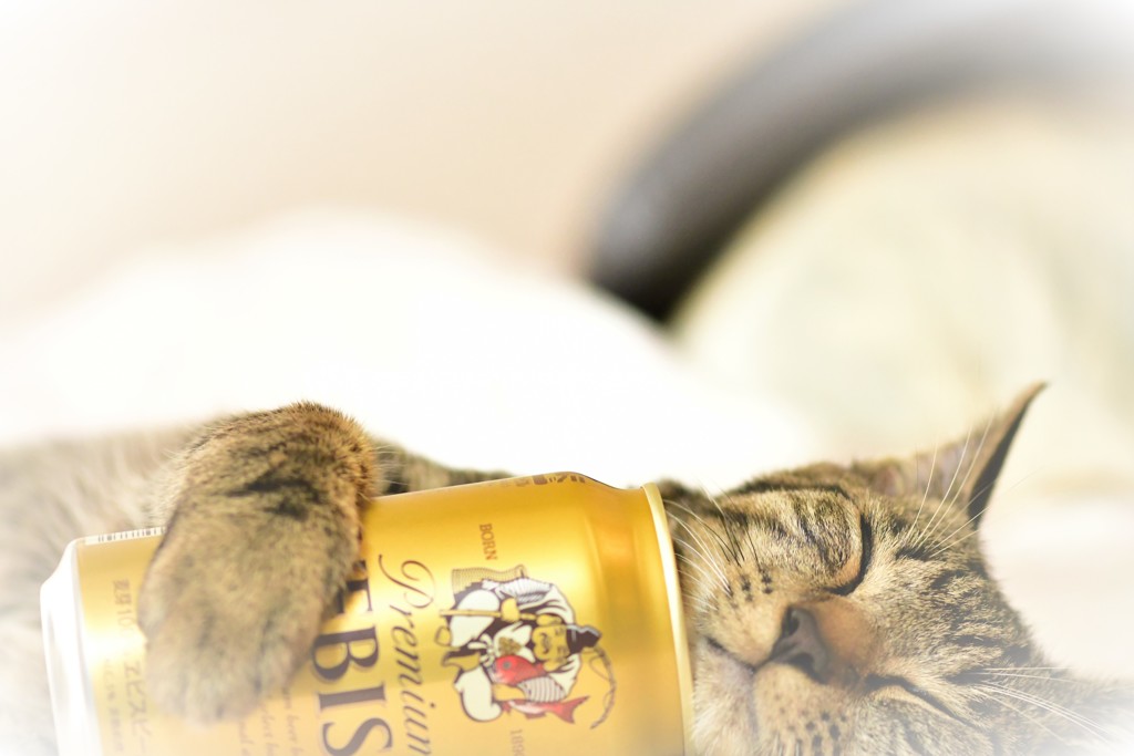 幸せ(-_-)zzz