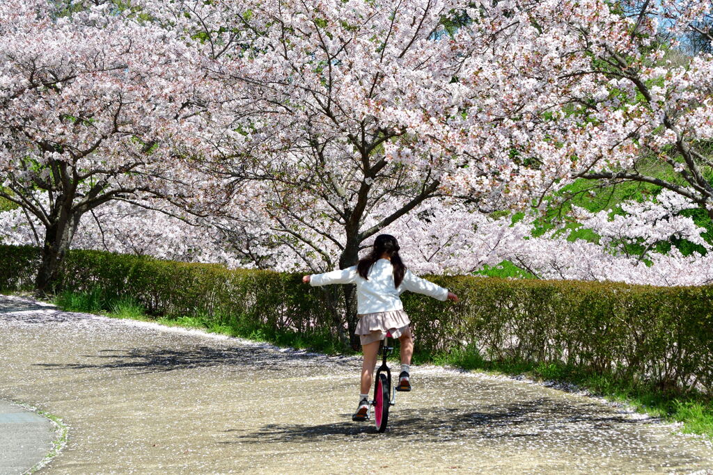 ポカポカ陽気