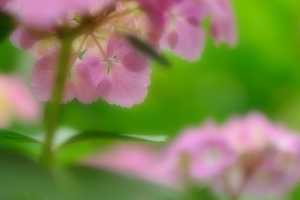 目覚め