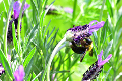 ちょっと君 重いよ