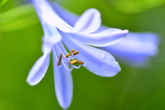 梅雨の晴れ間に