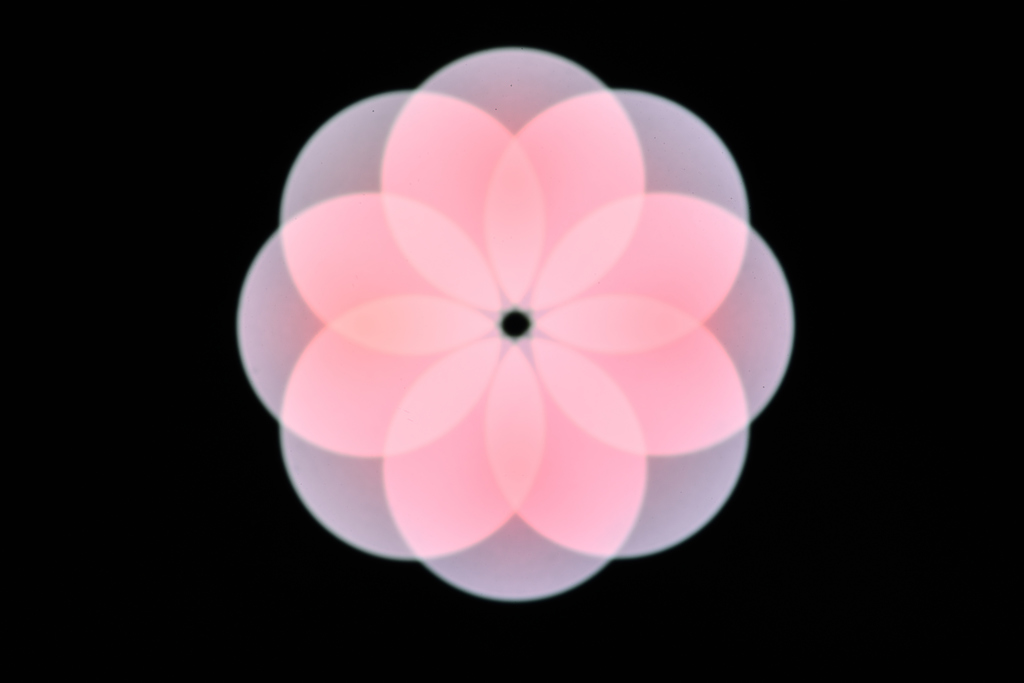 LED LiGHT桜をイメージ