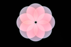 LED LiGHT桜をイメージ