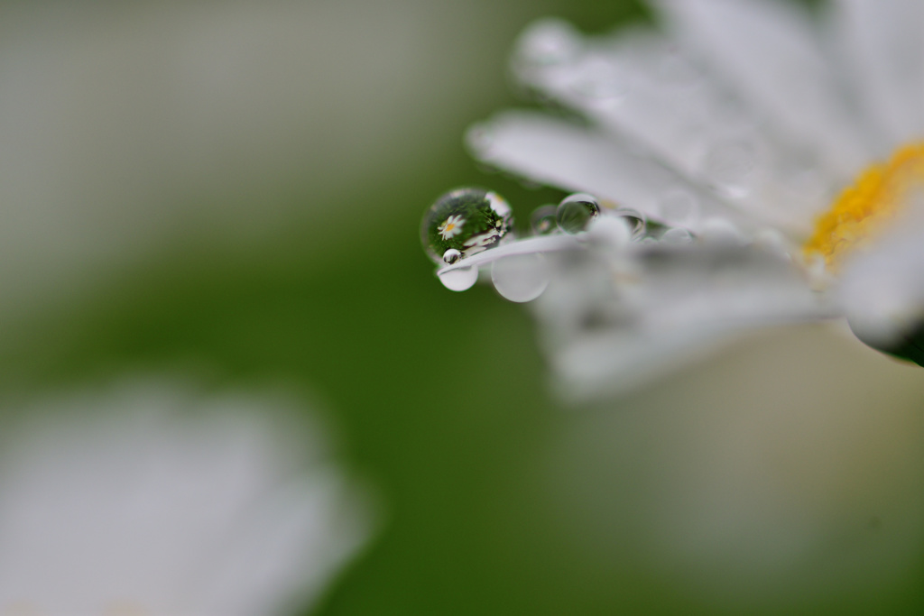 雨上がり-Ⅳ