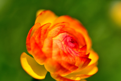 名前が・・・-Ⅰ