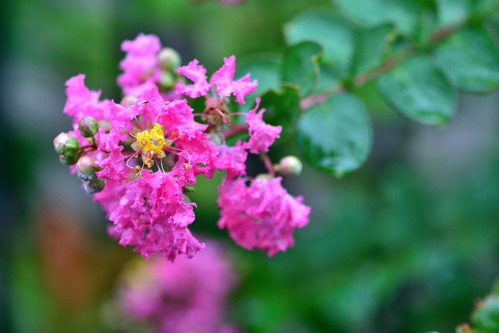 百日後の再会-Ⅱ