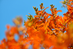 上を向いて歩こう-Ⅲ