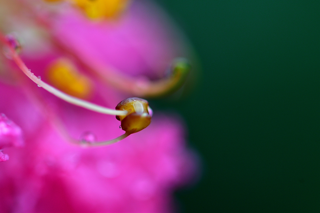 百日後の再会-Ⅲ