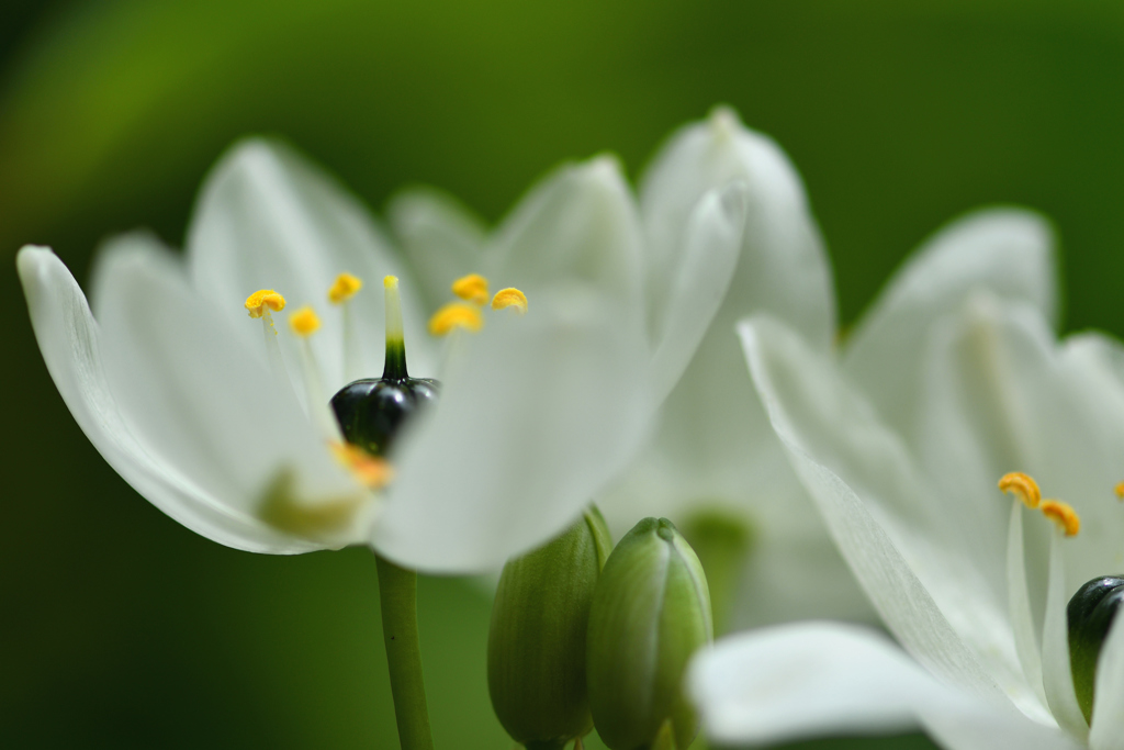 Comment tu t'appelles？-Ⅳ