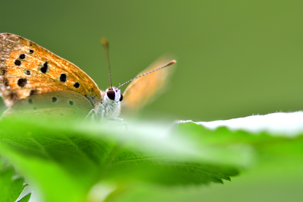 梅雨の合間に-Ⅲ
