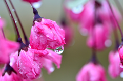 ほろ酔い加減-Ⅲ