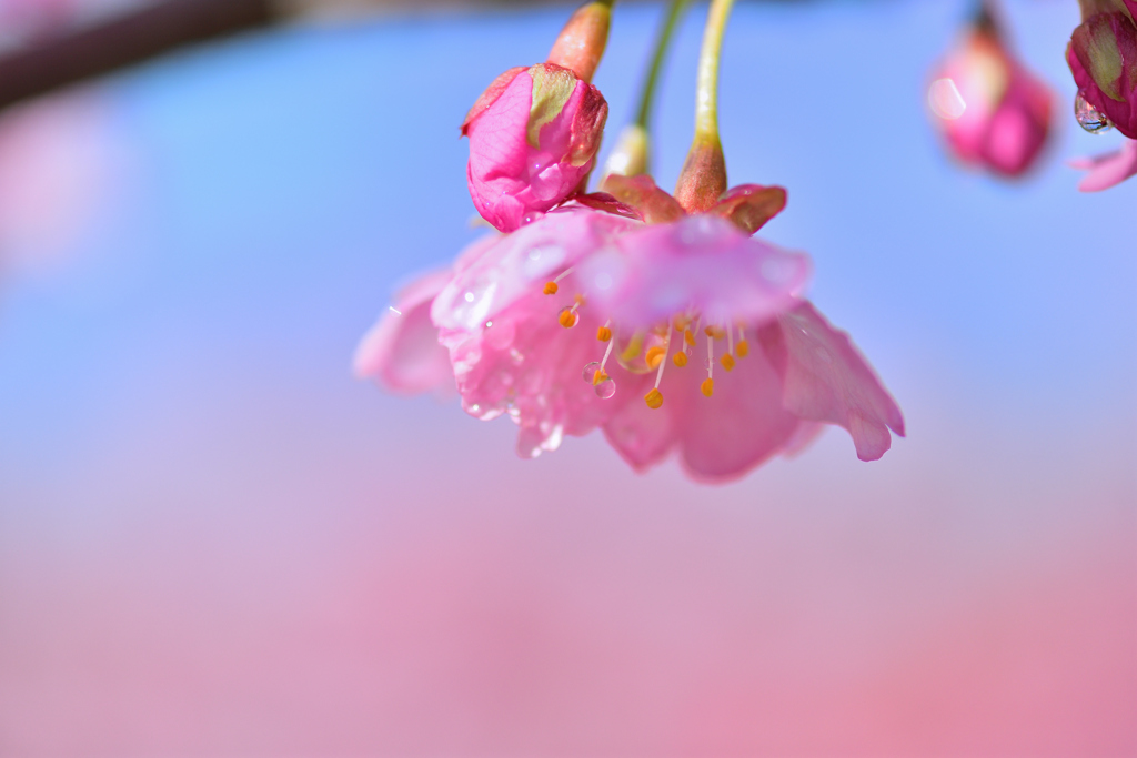 雨のち晴れ-Ⅴ