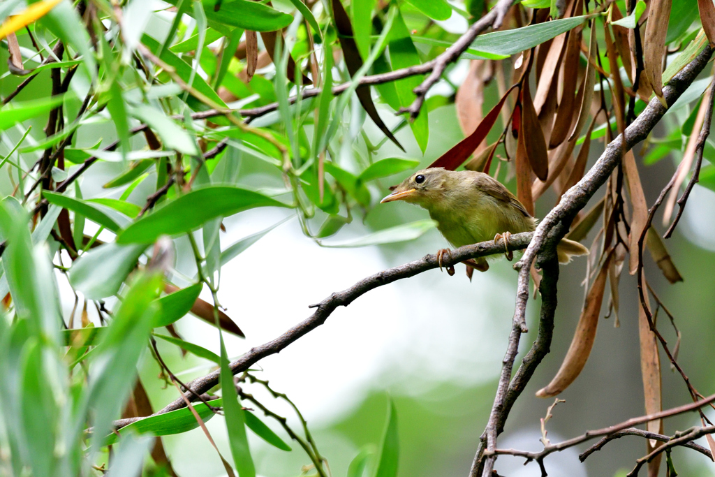 for the first time in a while 