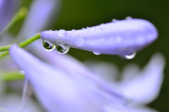 恋と雨-Ⅱ