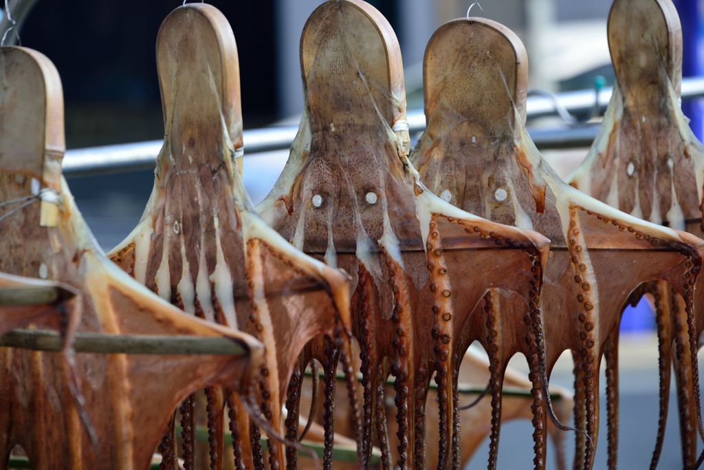 下津井の干し蛸