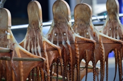 下津井の干し蛸 下津井の干し蛸