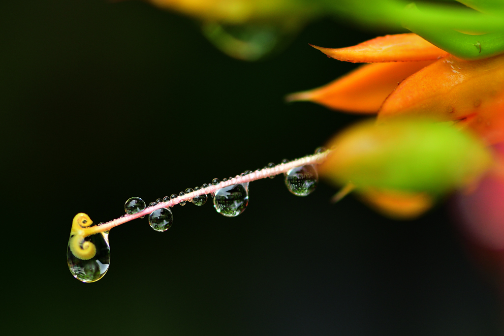 今日もまた雨(-_-)/