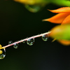 今日もまた雨(-_-)/
