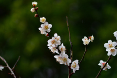 しっとりと-Ⅲ