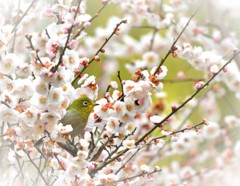 朝は静かに-Ⅰ