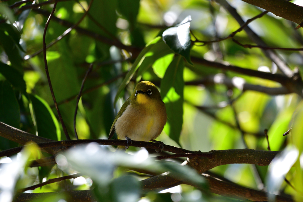 お腹いっぱ～い