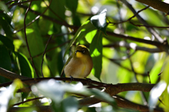 お腹いっぱ～い