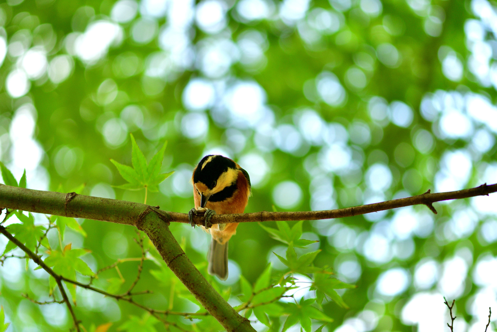 最も近くにおいでよ-Ⅳ