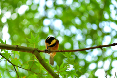 最も近くにおいでよ-Ⅳ