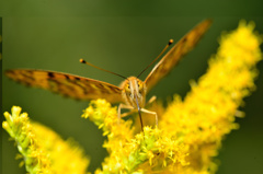 青空の下で--Ⅲ