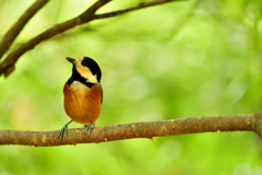 最も近くにおいでよ-Ⅱ