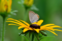 梅雨の合間に-Ⅳ