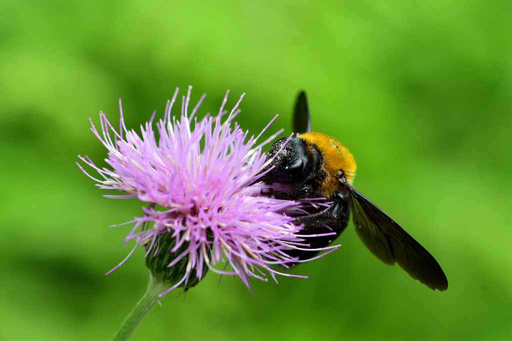 梅雨の合間に-Ⅷ