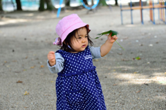 見よ芭蕉扇の威力